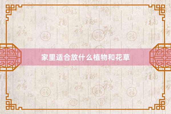 家里适合放什么植物和花草