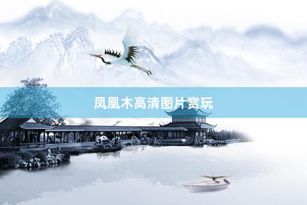 凤凰木高清图片赏玩