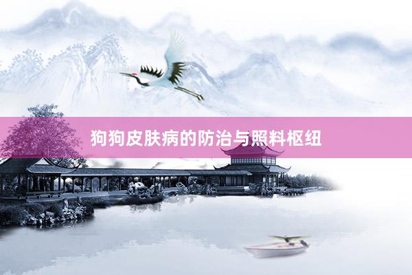 狗狗皮肤病的防治与照料枢纽