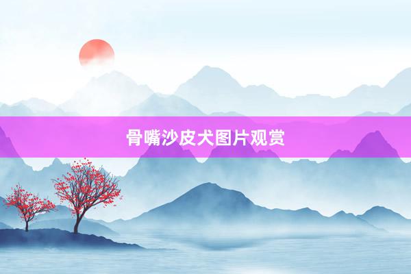 骨嘴沙皮犬图片观赏