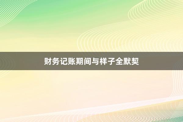 财务记账期间与样子全默契