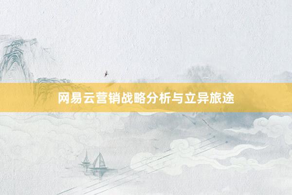 网易云营销战略分析与立异旅途